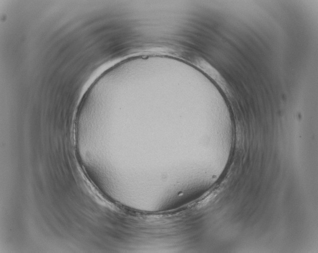 X0000062831436200602031526