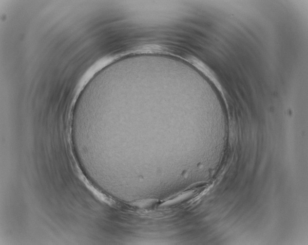 X0000062831437200602031526