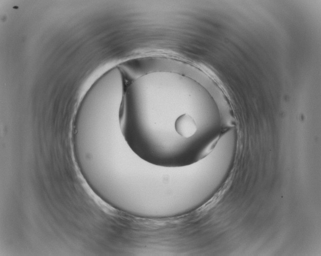 X0000062831438200602031526