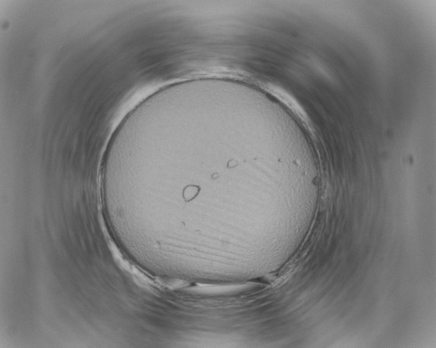 X0000062831439200602031526