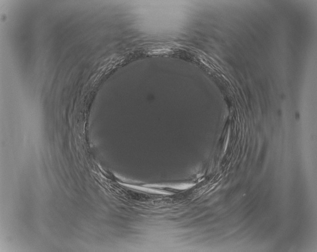 X0000062831441200602031525