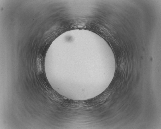 X0000062831442200602031525