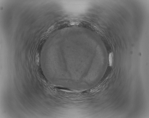 X0000062831443200602031525