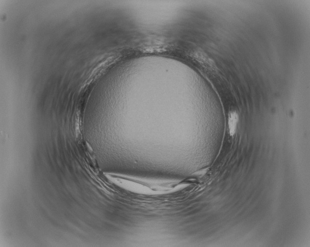 X0000062831444200602031525