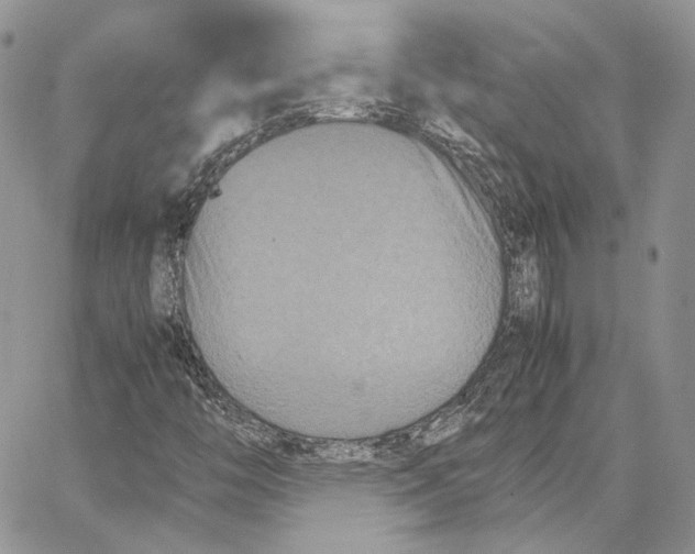 X0000062831446200602031525