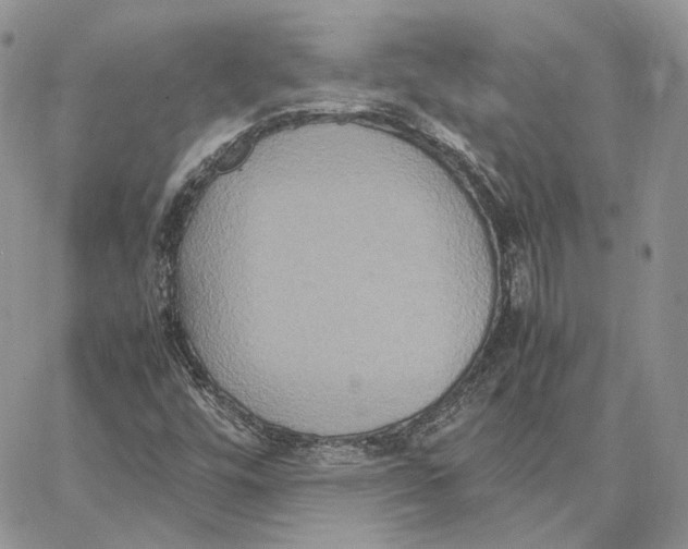 X0000062831448200602031525