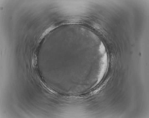 X0000062831449200602031525