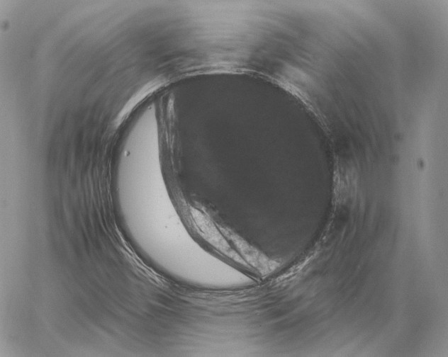 X0000062831450200602031525