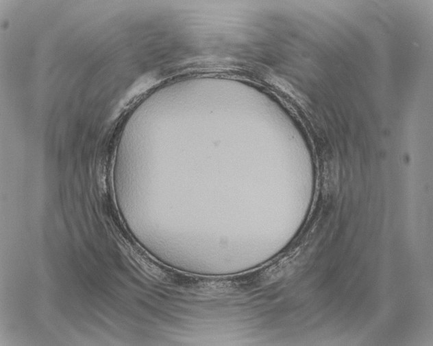 X0000062831451200602031525