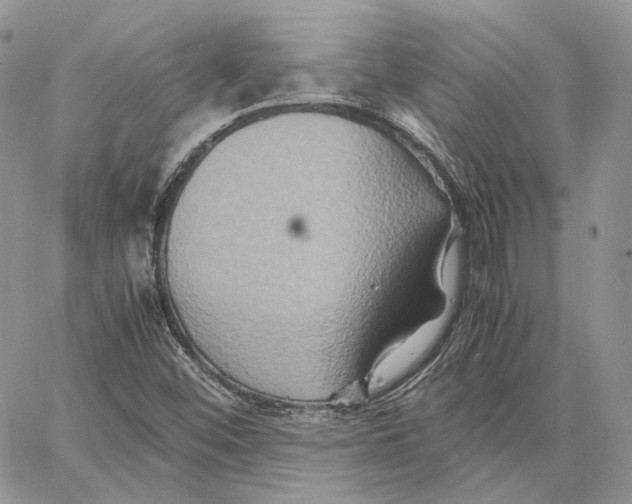 X0000062831452200602031525