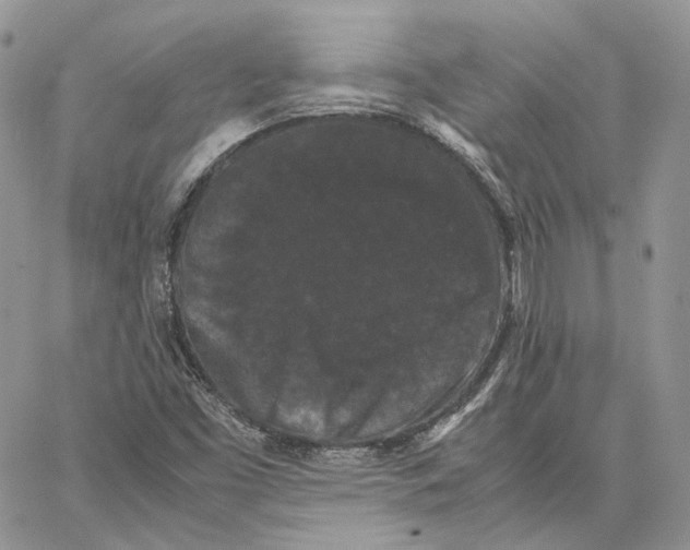 X0000062831453200602031525