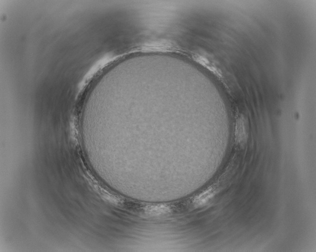 X0000062831454200602031525