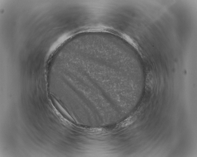 X0000062831456200602031525