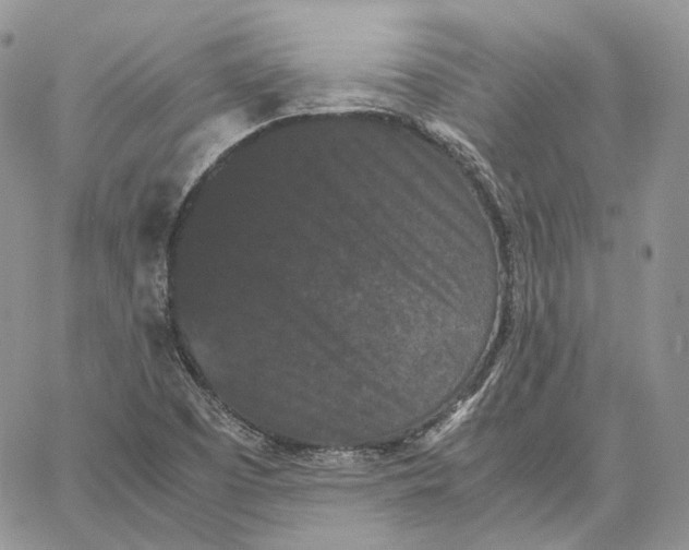 X0000062831457200602031525