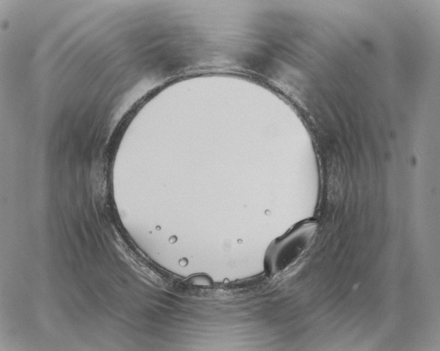 X0000062831458200602031525