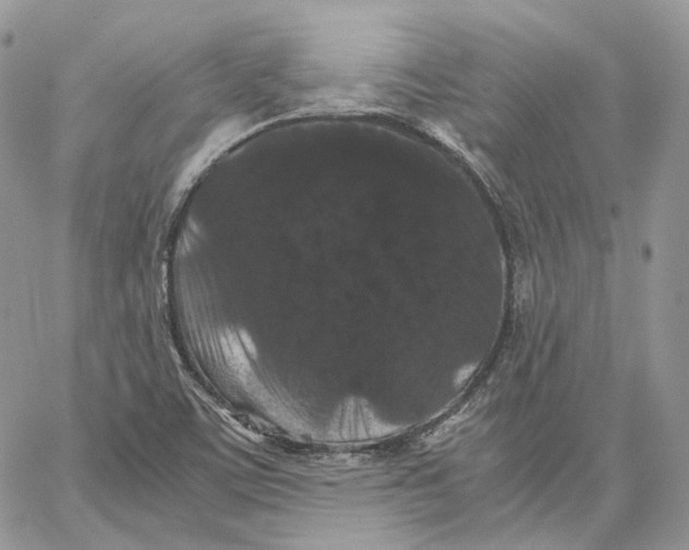 X0000062831459200602031525