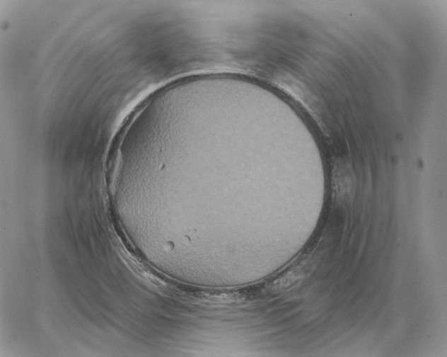 X0000062831460200602031525