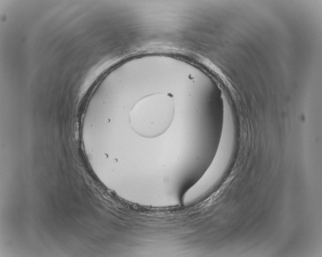 X0000062831461200602031525