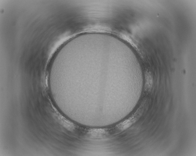 X0000062831462200602031525