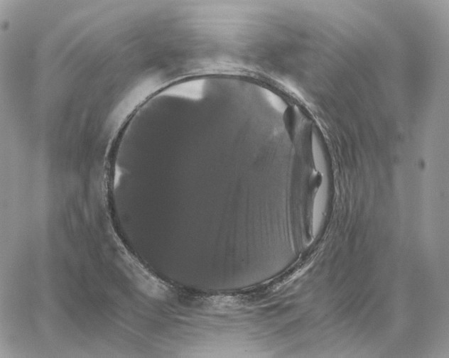 X0000062831463200602031525