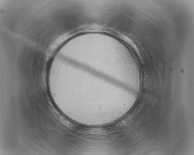 X0000062831464200602031525