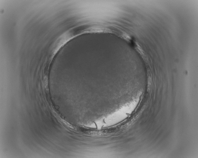 X0000062831465200602031525