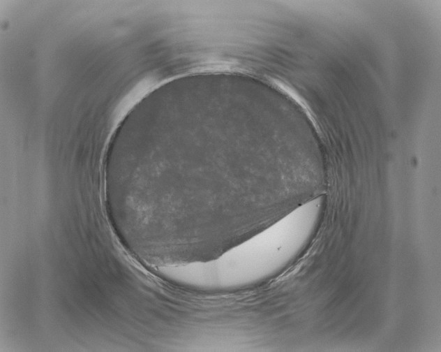 X0000062831467200602031525