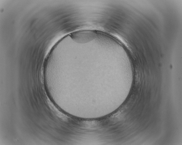 X0000062831468200602031525