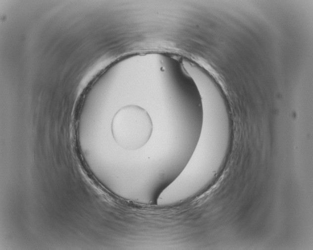 X0000062831469200602031525