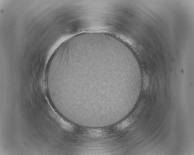 X0000062831470200602031525