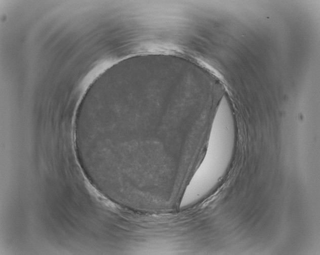 X0000062831471200602031525