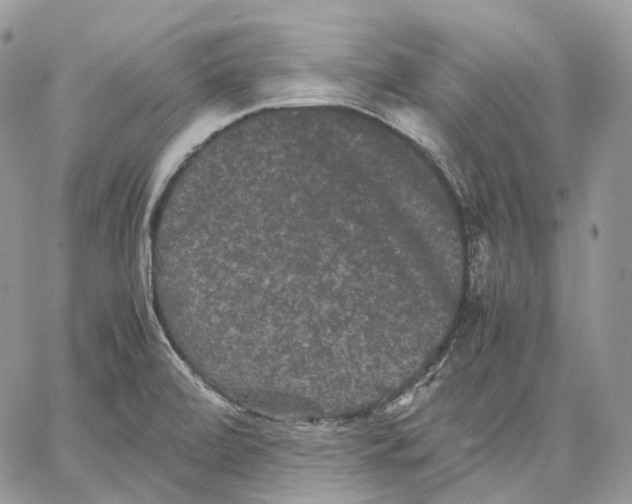 X0000062831472200602031525