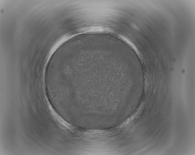 X0000062831475200602031525