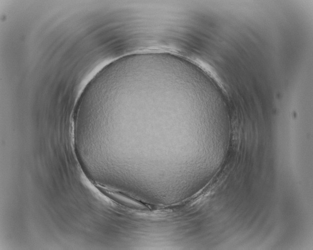 X0000062831476200602031525