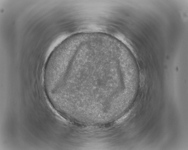 X0000062831477200602031525