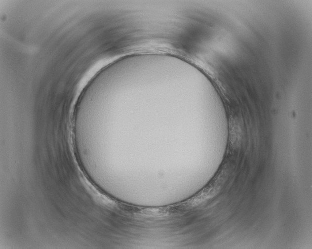 X0000062831478200602031525