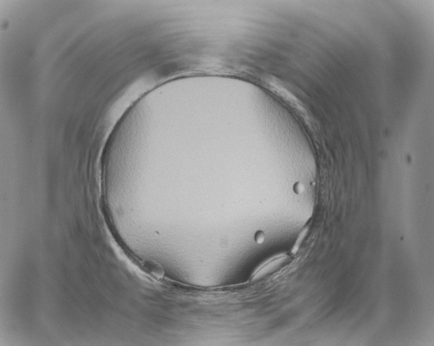 X0000062831479200602031525