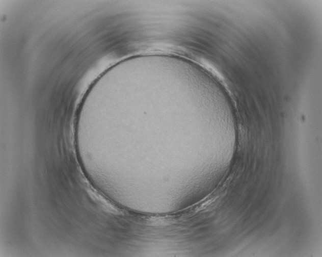 X0000062831480200602031525