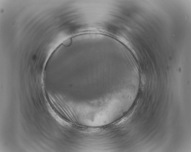 X0000062831482200602031525