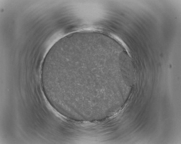 X0000062831483200602031525