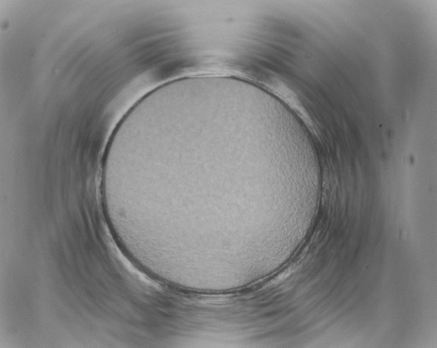 X0000062831484200602031525