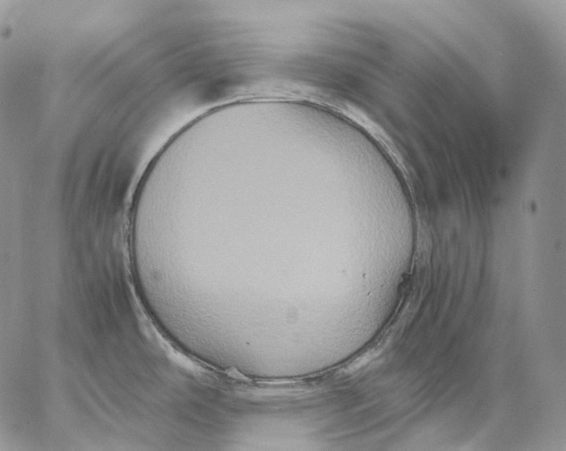 X0000062831486200602031524