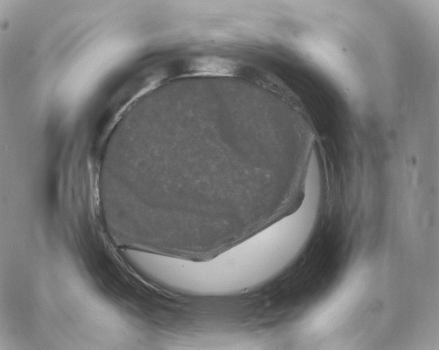 X0000062831487200602031524