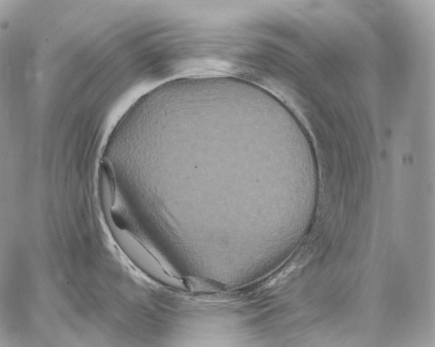 X0000062831488200602031524