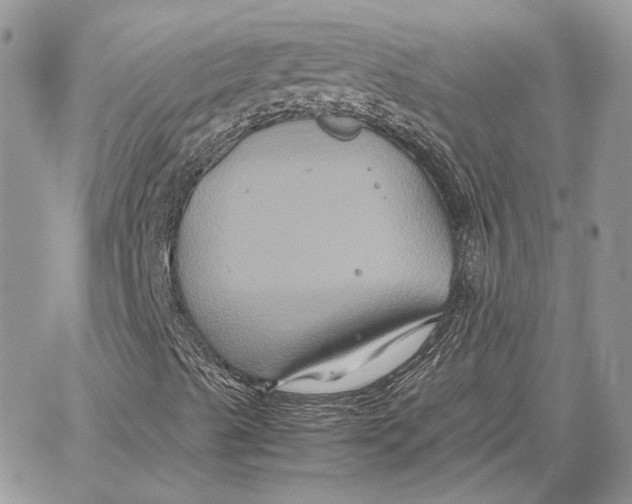 X0000062831489200602031524