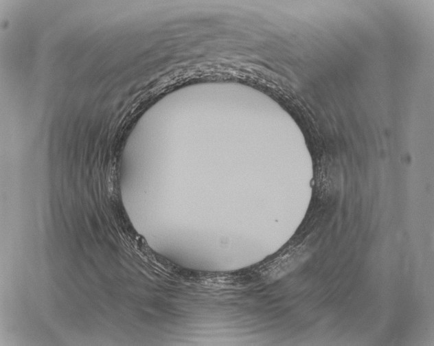 X0000062831490200602031524