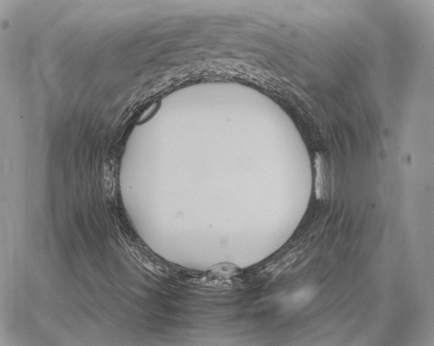 X0000062831491200602031524