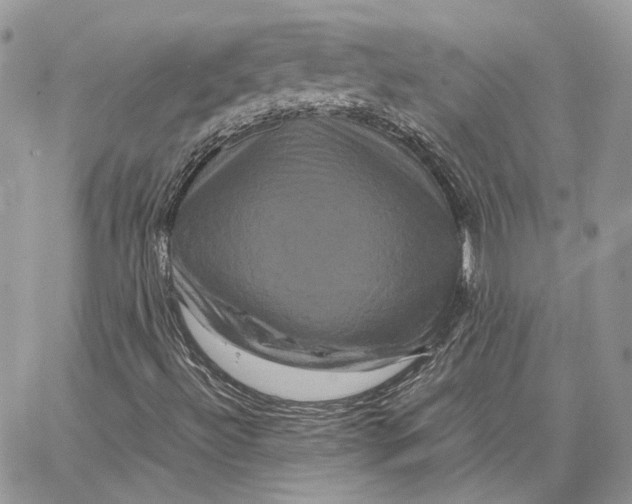 X0000062831492200602031524