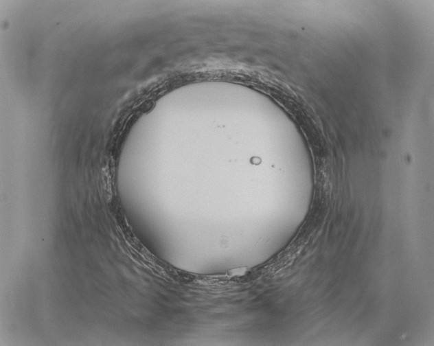 X0000062831493200602031524