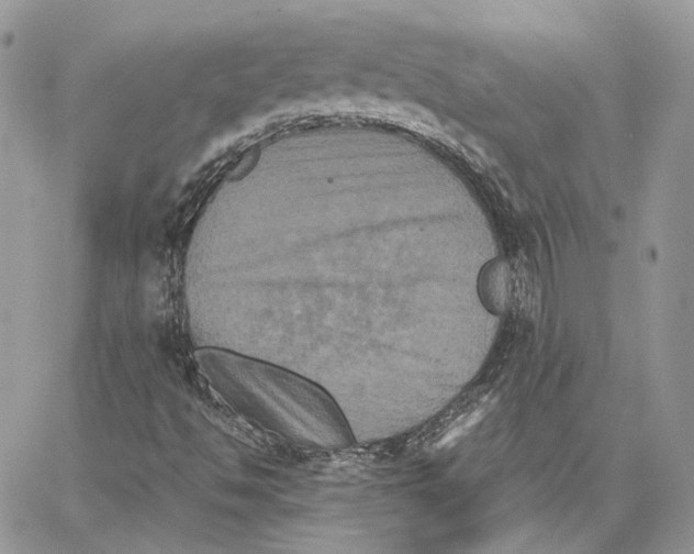 X0000062831494200602031524